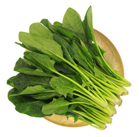 新鲜菠菜 600g 简装 新鲜蔬菜