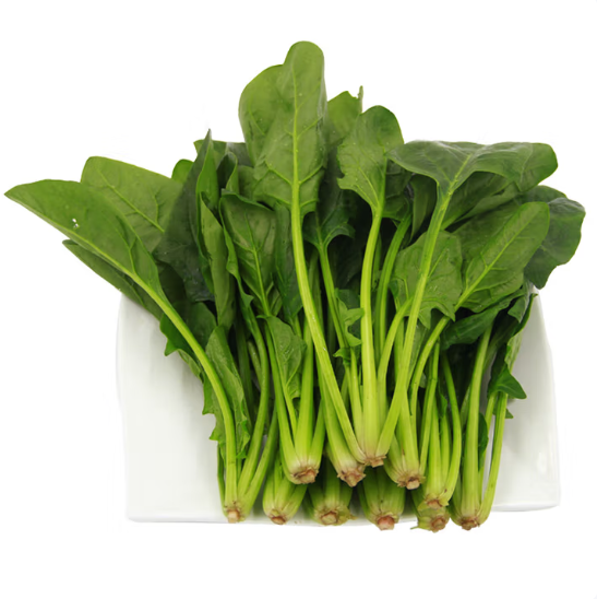 新鲜菠菜 600g 简装 新鲜蔬菜