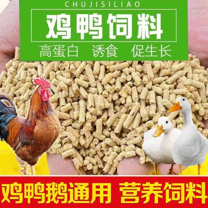 中大鸡颗粒饲料